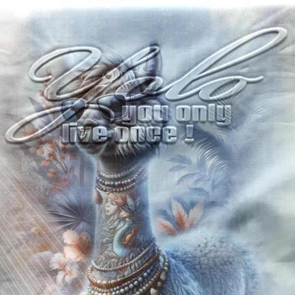 Maritim Tattoo 160.0 - YOLO (2 Varianten)